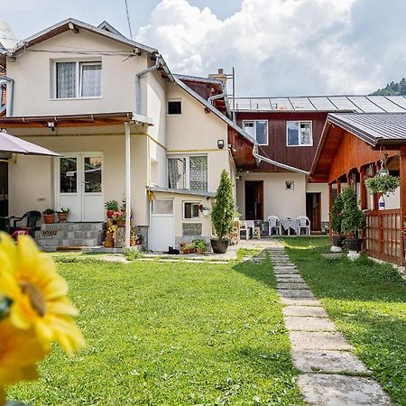 Pensiunea Montan Buşteni Exteriör bild