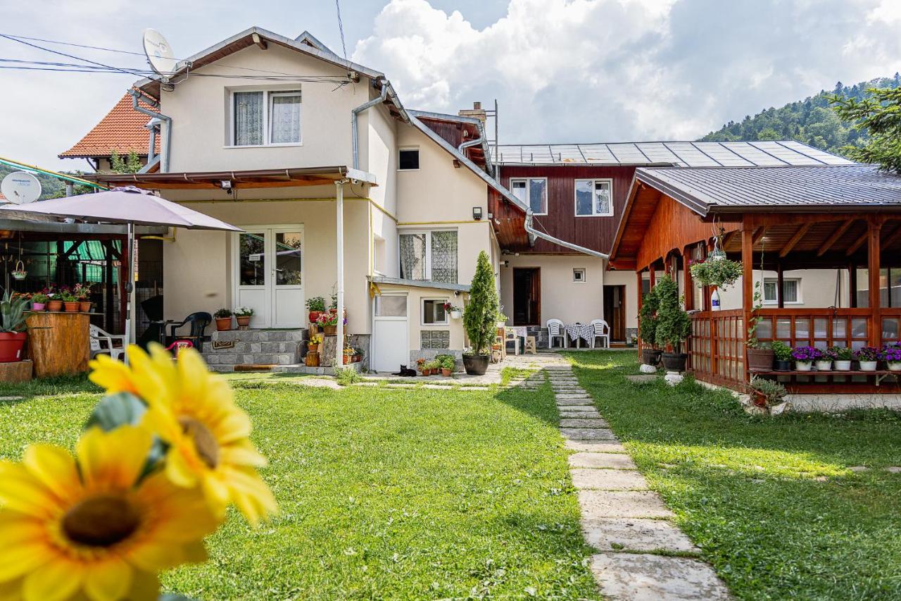 Pensiunea Montan Buşteni Exteriör bild