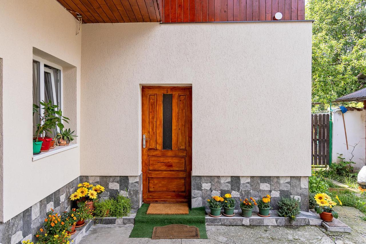 Pensiunea Montan Buşteni Exteriör bild