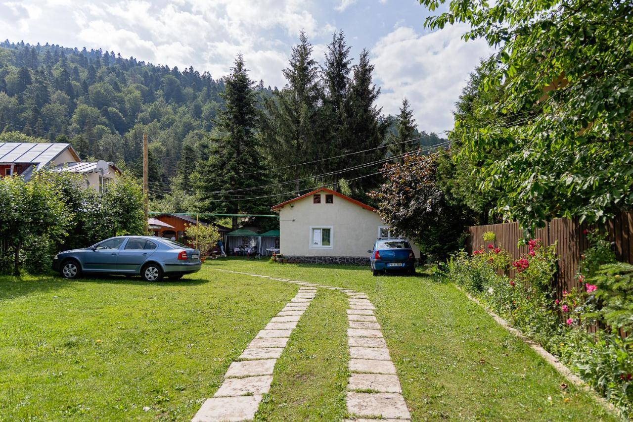 Pensiunea Montan Buşteni Exteriör bild
