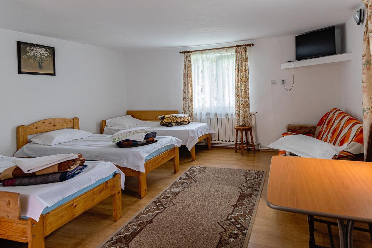 Pensiunea Montan Buşteni Exteriör bild