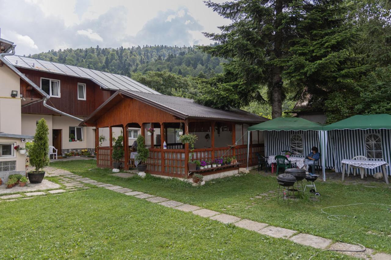 Pensiunea Montan Buşteni Exteriör bild
