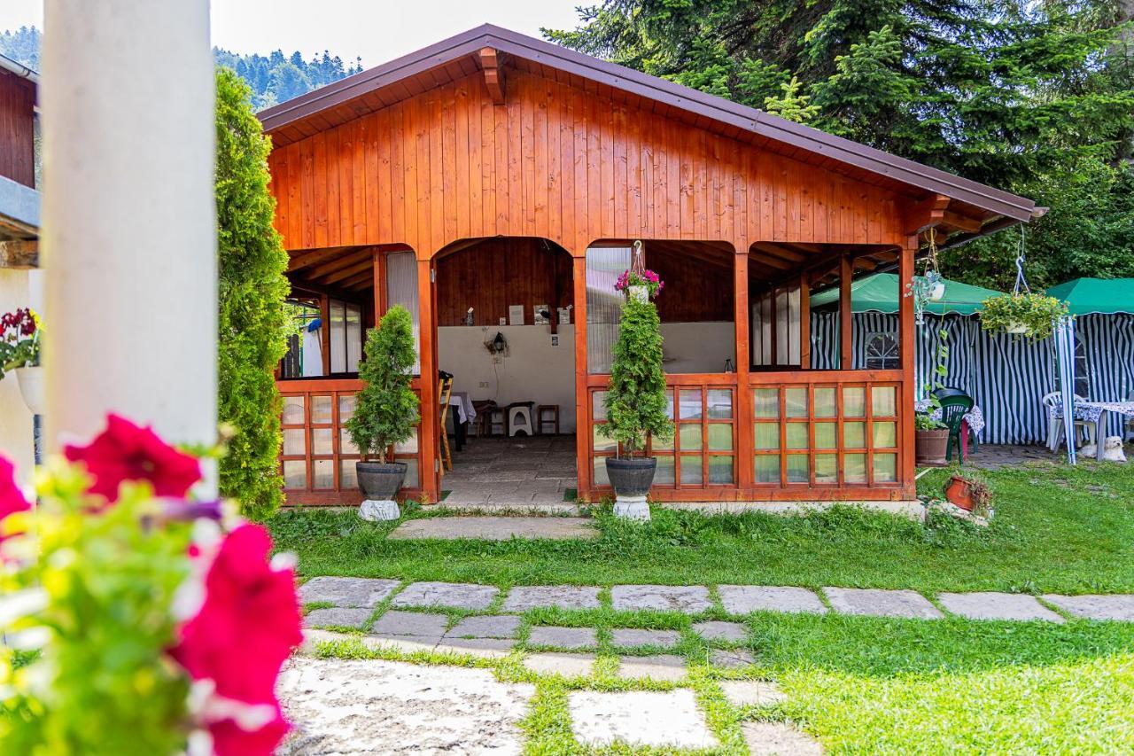 Pensiunea Montan Buşteni Exteriör bild