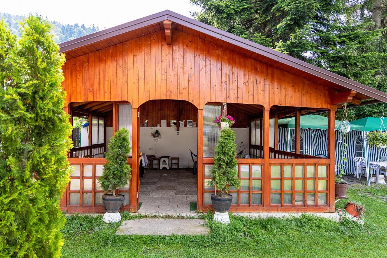 Pensiunea Montan Buşteni Exteriör bild