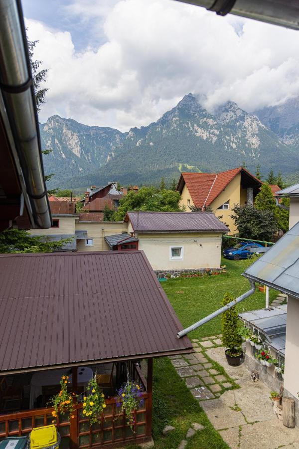 Pensiunea Montan Buşteni Exteriör bild