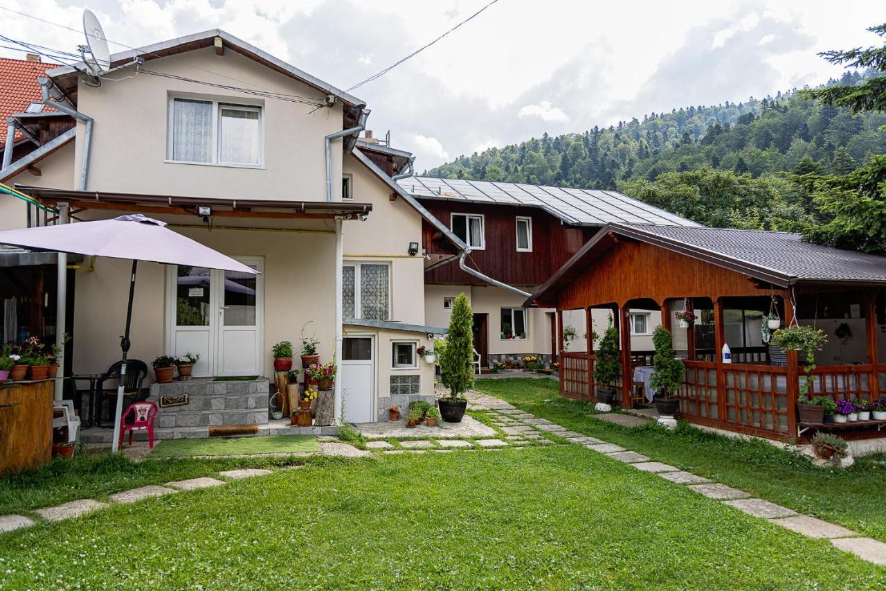 Pensiunea Montan Buşteni Exteriör bild