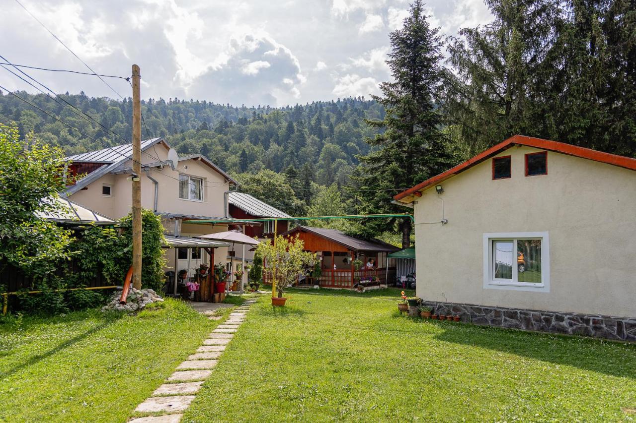 Pensiunea Montan Buşteni Exteriör bild