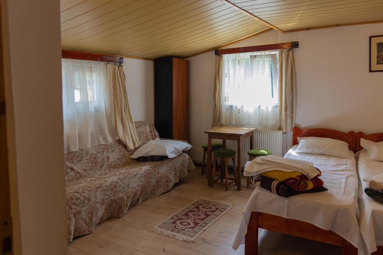Pensiunea Montan Buşteni Exteriör bild