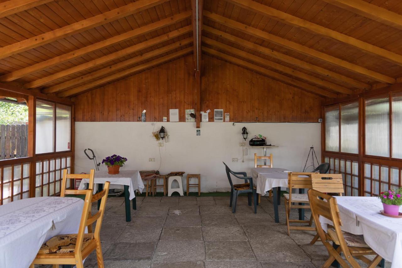 Pensiunea Montan Buşteni Exteriör bild