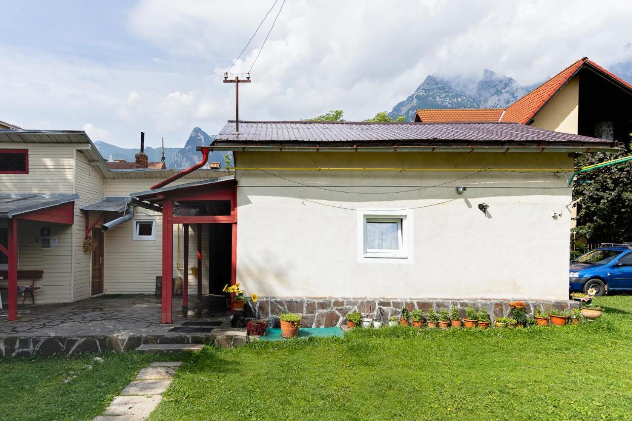 Pensiunea Montan Buşteni Exteriör bild