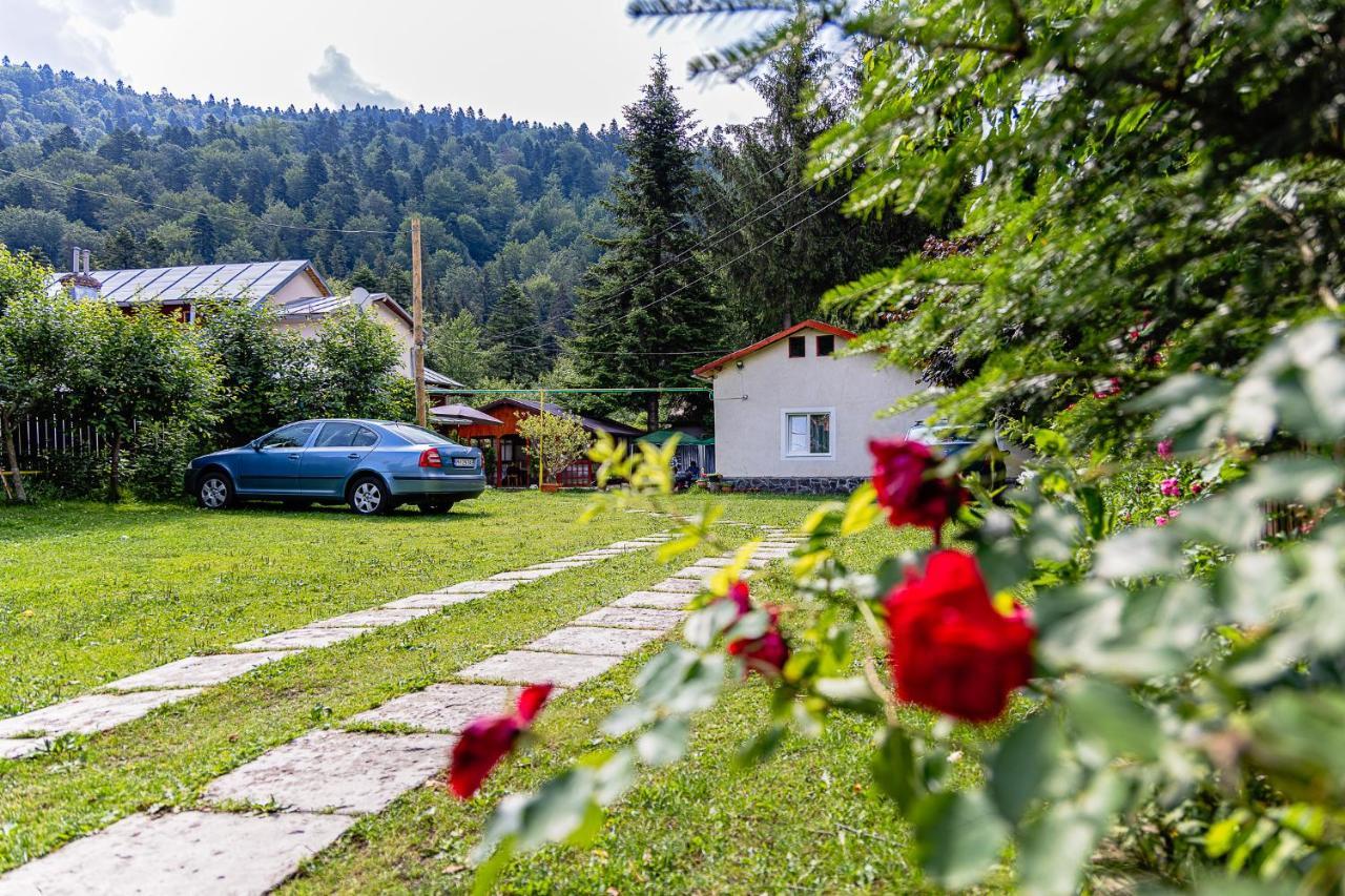 Pensiunea Montan Buşteni Exteriör bild