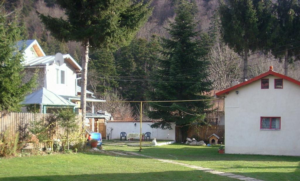 Pensiunea Montan Buşteni Exteriör bild