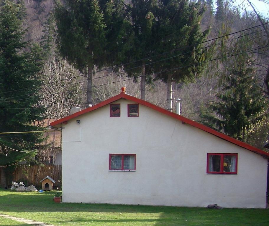 Pensiunea Montan Buşteni Exteriör bild