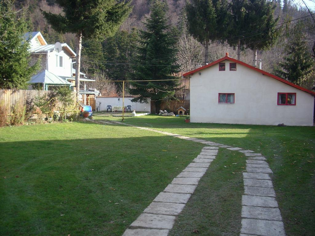 Pensiunea Montan Buşteni Exteriör bild