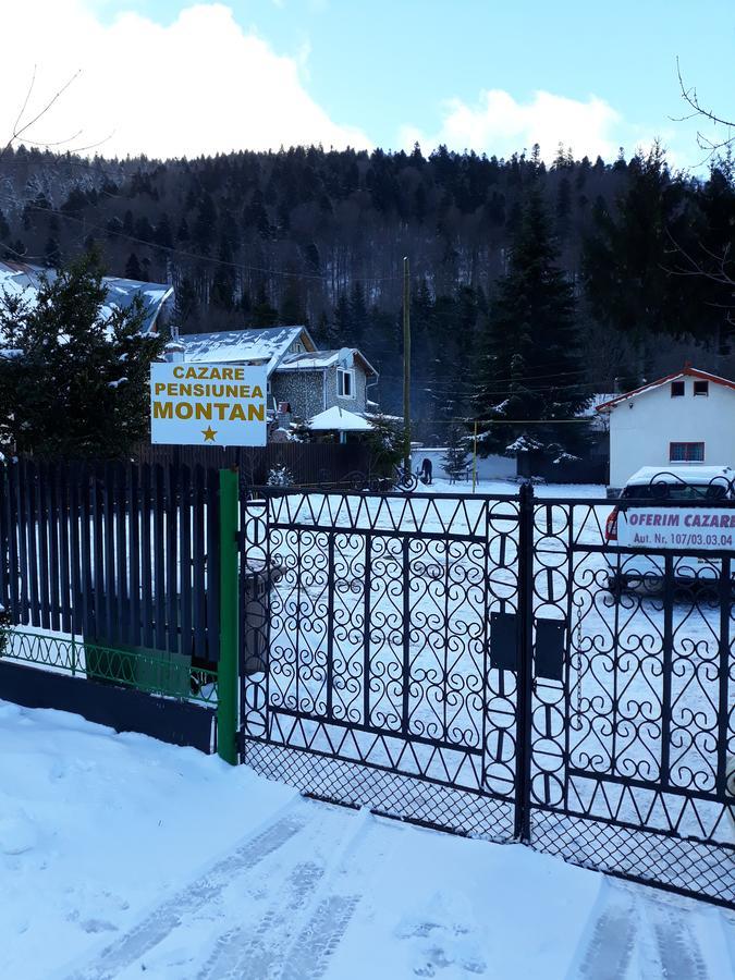 Pensiunea Montan Buşteni Exteriör bild