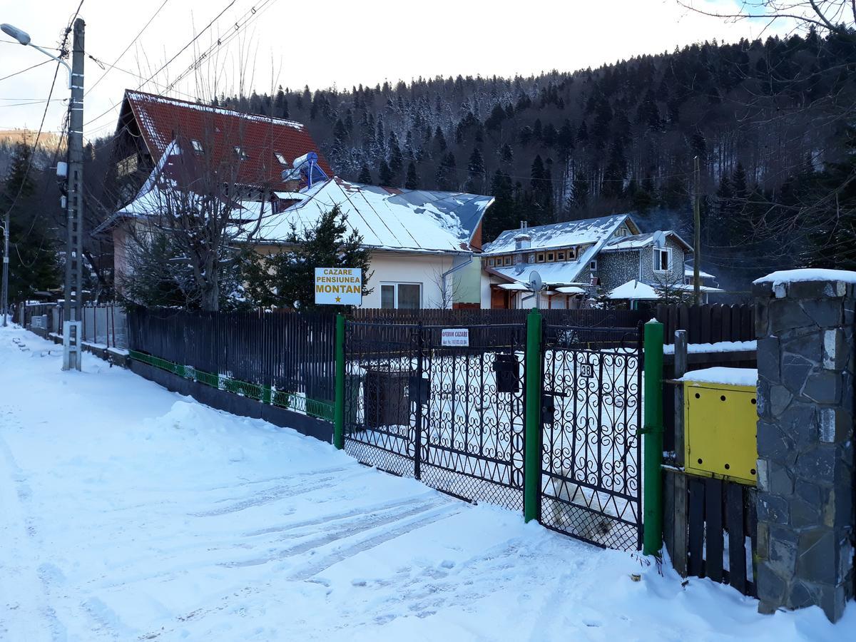 Pensiunea Montan Buşteni Exteriör bild